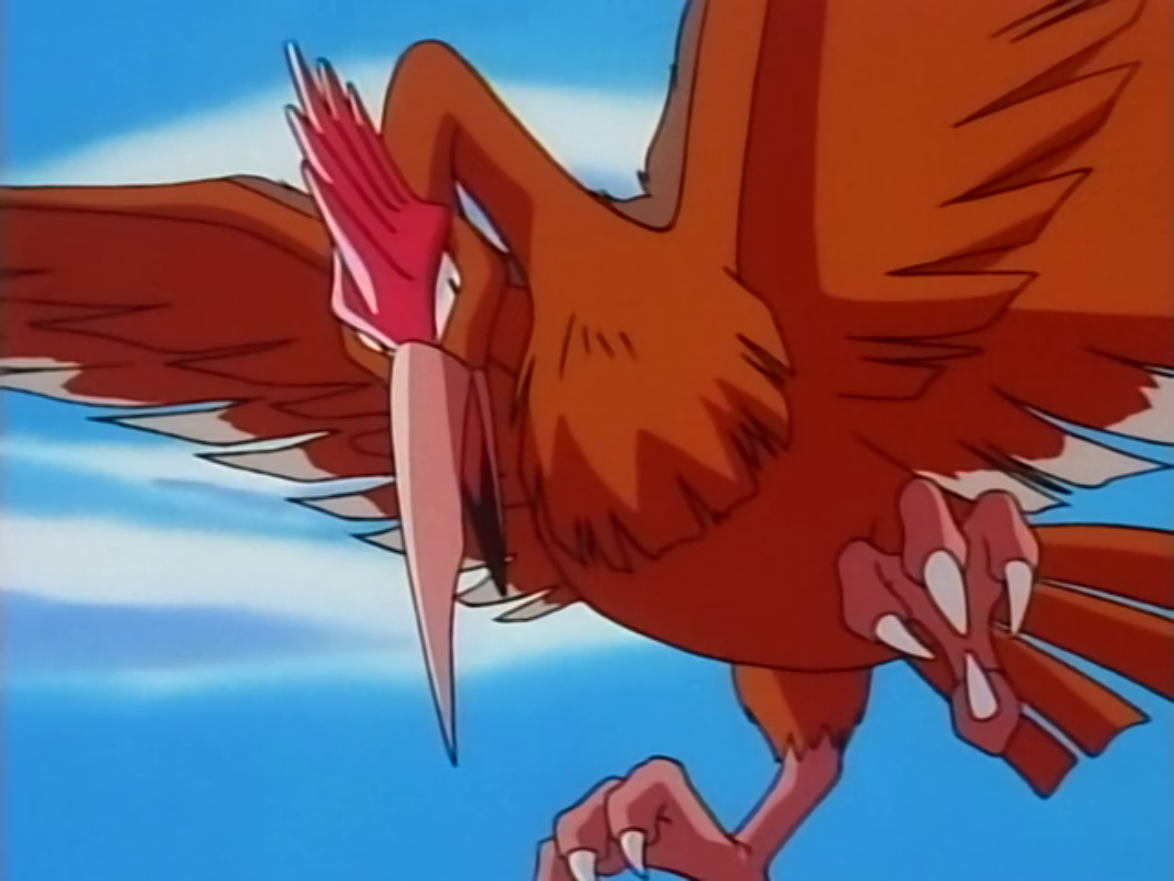 Fearow Anime Pokemon Wiki Fandom