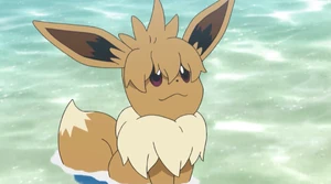 Lana's Eevee, Sandy, uncut hair.