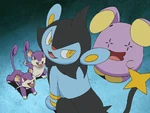 Ash temporarily helped a Luxio save a lost Wailmer from getting lost in the sewers.