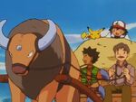 Mr. Shellby owns a Tauros, who helped him pull the wagon.