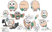 Concept artwork of Rowlet.
