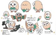 Rowlet Concept art