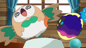 Rowlet becomes dizzy upon trying to look away from Nebby