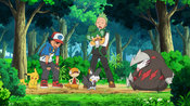 Ash and Cilan escaped from Bouffalant