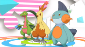 The second evolutions of all the Hoenn starters