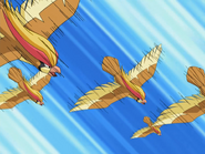 Solidad Pidgeot Double Team