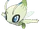 Celebi
