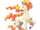 Rapidash