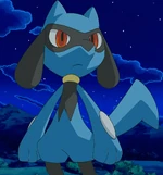 Ash made friends with a Riolu and helped it return to its trainer in the Lucario Kingdom.