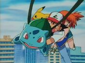 Bulbasaur carries Misty, Pikachu and Ash to safety