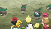 The heroes encounter Skiddo