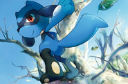 You Iribi Fates Collide Riolu