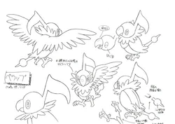 Chatot Pokemon Wiki Fandom