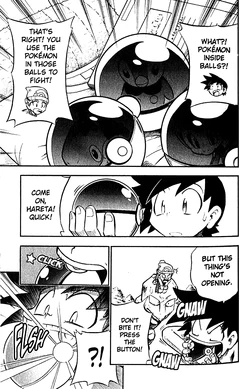 Dpa001 In Search Of The Legendary Pokemon Dialga Pokemon Wiki Fandom