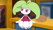 Mallow's Steenee.