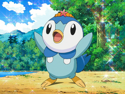 CEO of Sinnoh 🌟 ב-X: Piplup, this cute penguin has a higher attack stat  than Onix  / X