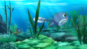 250px-Poliwag SM071