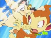 Meowth uses Fury Swipes