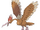 Fearow