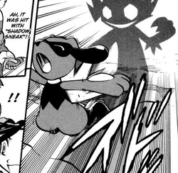 Jupiter S Sableye Pokemon Wiki Fandom Jupiter S Sableye Pokemon Wiki Fandom