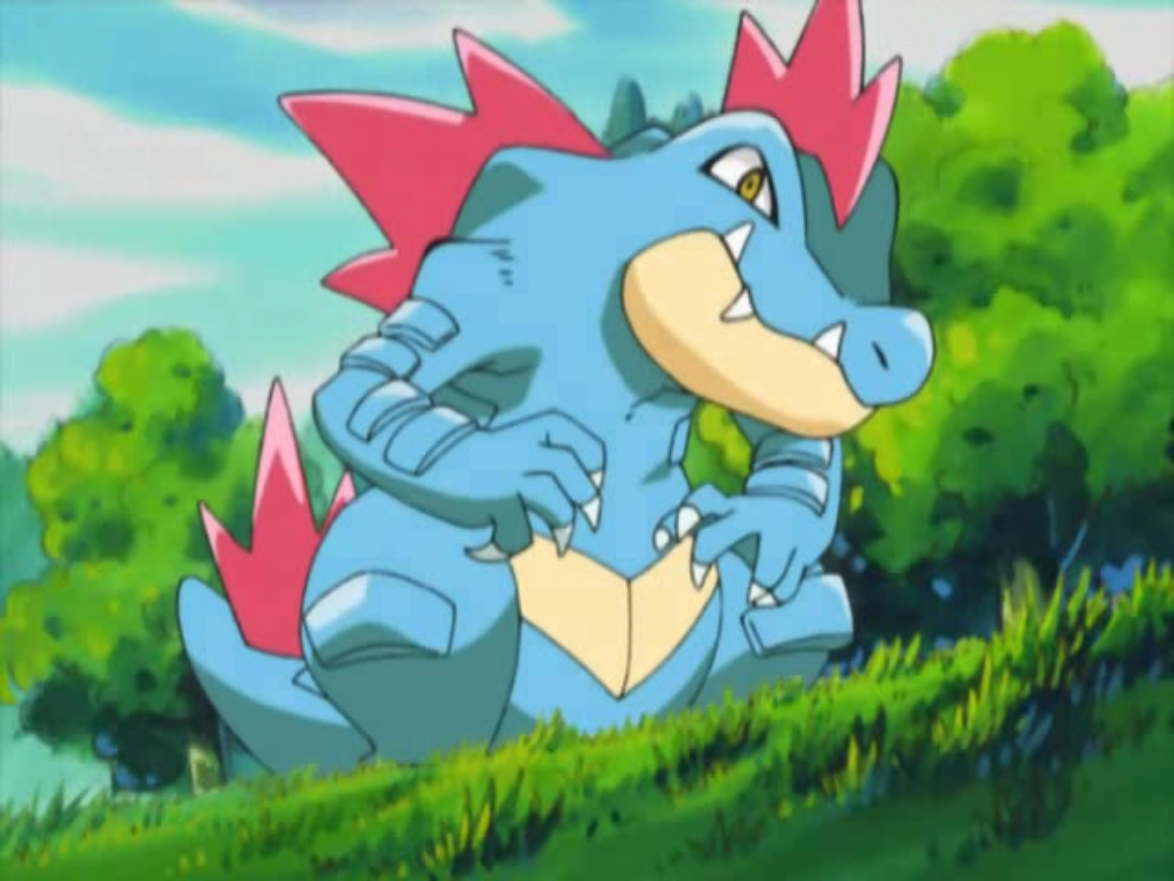 Kinso S Feraligatr Pokemon Wiki Fandom