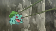 Shauna's Bulbasaur Vine Whip