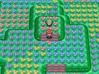 Flower Paradise Shaymin