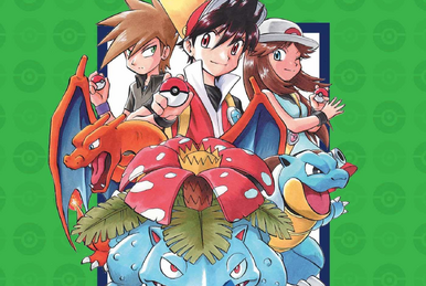 Pokemon Adv Collectors Ed GN Vol 10