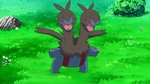 Shannon's Zweilous was concerned about its older brother when it evolved into a Hydreigon.