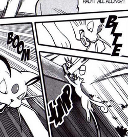 Thief Pokemon Wiki Fandom Thief Pokemon Wiki Fandom
