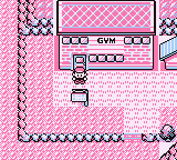 The gym (Gen I)