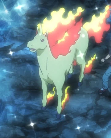 Red S Rapidash Pokemon Wiki Fandom