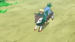 Clemont temporary tried to ride a Skiddo but it shook him off its back.