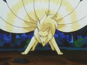 Mansion Owner Ninetales