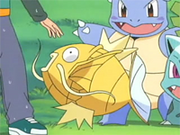 Shiny-magikarp