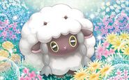 Wooloo TCG Mizue