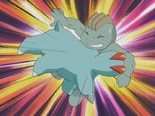 Phanpy takes down Machop