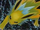 Jolteon (EX- Unseen Forces).png