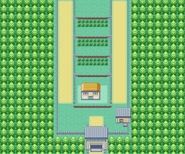 Kanto Route 5 in FireRed and LeafGreen