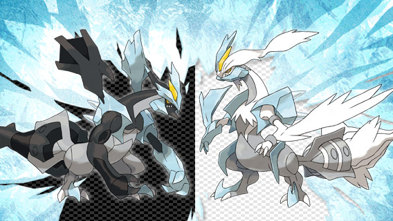 reshiram, zekrom, kyurem, black kyurem, and white kyurem (pokemon)