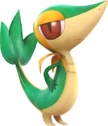 Support Snivy
