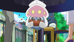 Articles of Destroyer: Pokemon XY Episode 3 'A Battle of Aerial