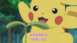 Pikachu S Lied Nederlandse Pokemon Wiki Fandom