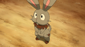 Clemont's Bunnelby