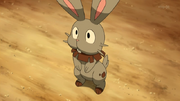 Clemont Bunnelby