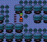 Speak to this person for a TM02 (Headbutt), as seen in the Generation II games.