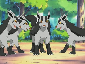 Katrina's Mightyena.