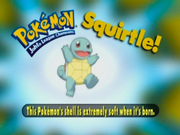 PokémonTriviaSquirtle