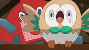 Rotom wakes Rowlet up