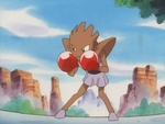 Upon first seeing it, Ash assumed it was wild and unsuccessfully attempted to capture it. Both it and its owner entered the P1 Grand Prix where it fought and defeated a Machamp. It was later forced to forfeit to Giant's stolen Hitmonlee due to Meowth's dirty tactics.